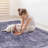 Bravyn Indoor Rug-575924594