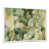 Blanc n'est pas disponible