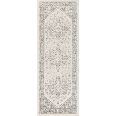 Benoit Oriental Indoor Rug