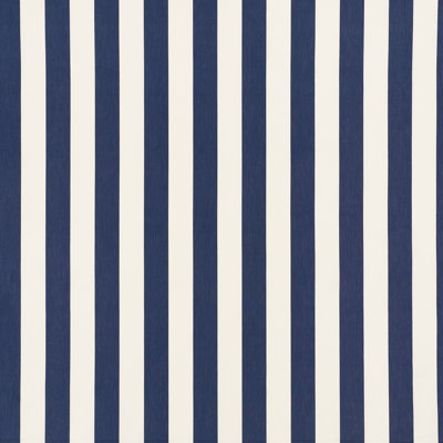 Andy Stripe Fabric