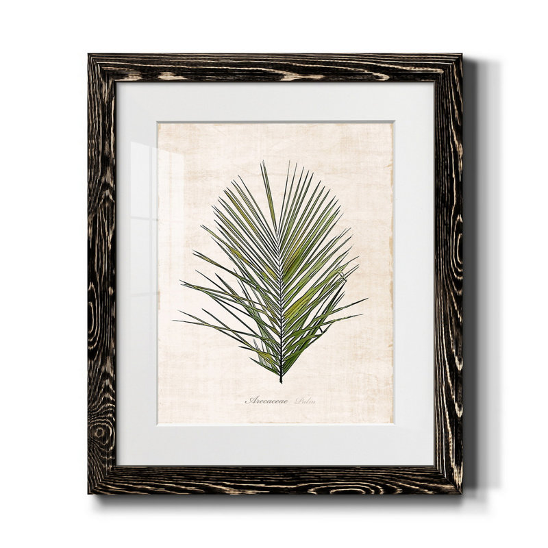 Palm Botanical I - Reproduction d'art graphique sur papier encadré, H 20 po x l 17 po x P 1,5 po, Noir