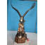 Eagle With Nest Bronze Statue -  Size: 36"L X 40"W X 63"H.