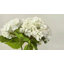 Fleurs d'hortensia artificielles pour la décoration intérieure - 3 pièces de 20 fleurs artificielles résistantes aux rayons UV avec feuilles réalistes, fleurs de 8,6 pouces, centres de mariage et de fête-113861635
