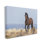Cheval équestre dans une campagne sauvage, ciel bleu doux par - impression