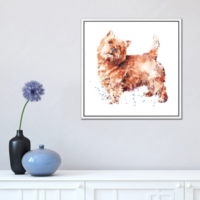 Norwich Terrier - Painting on Canvas