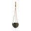 Cidni Hanging Planter