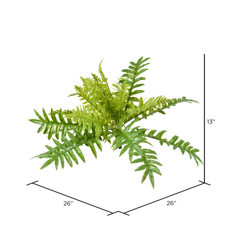 Salix Leaf Arrangement