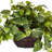 15'' Faux Pothos Plant in Wood Planter