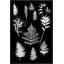 Botanical Collage 1 Print-971687627-971687624