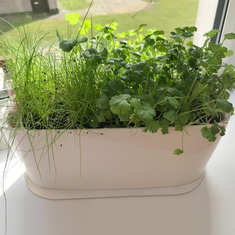 Ensemble de 5 pots à fleurs rectangulaires pour fenêtre, 8,5 po x 3,5 po, blanc
