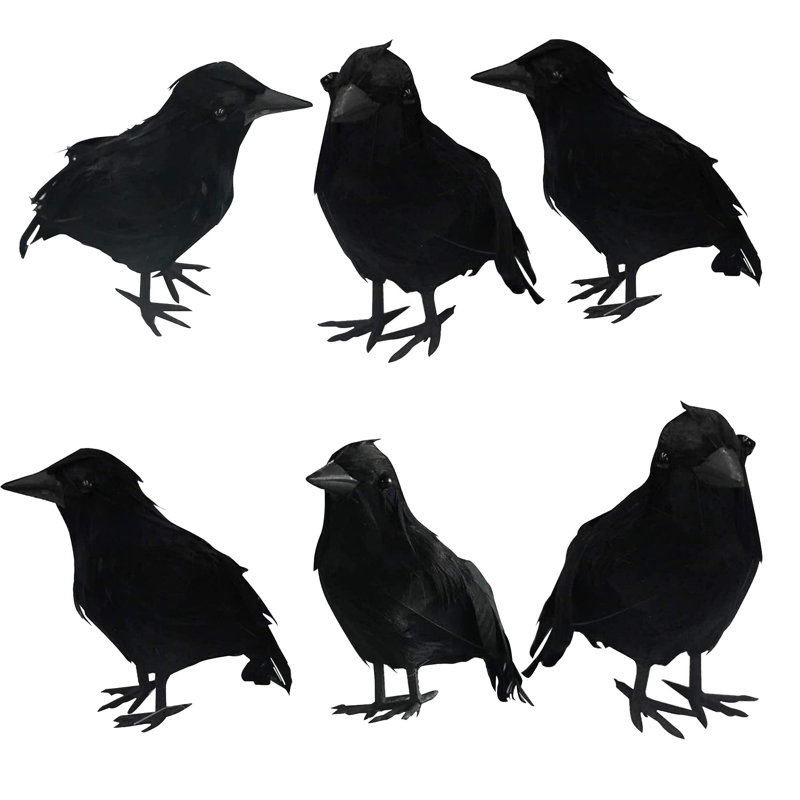 Ensemble de 6 décorations de plumes noires d'Halloween