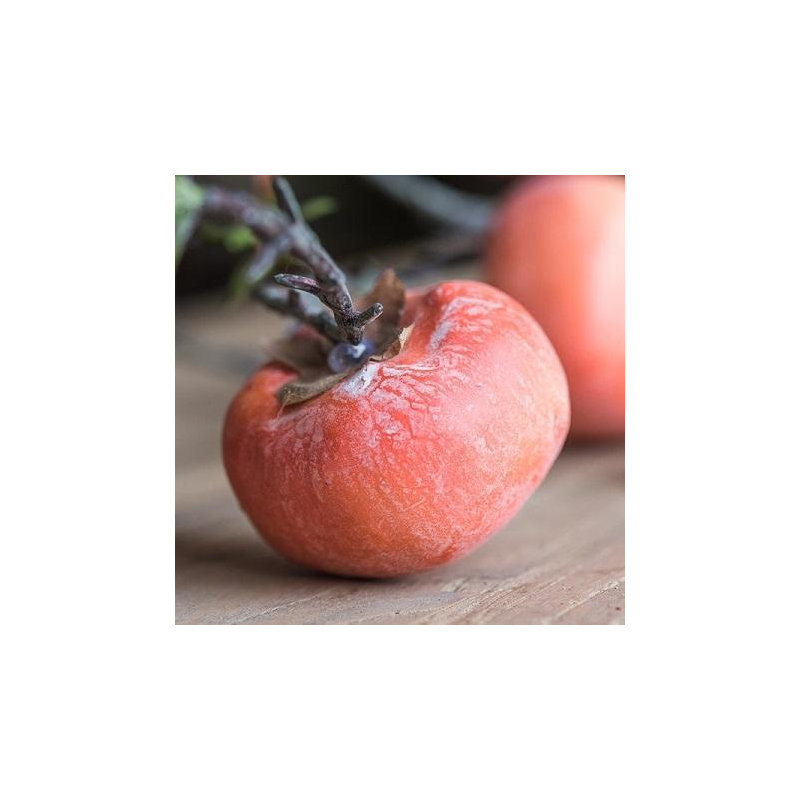 Tige en faux orange persimmon, 3 tiges