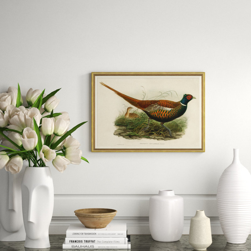 Pheasants From Gould's Birds Of Australia 19 Giclee Print