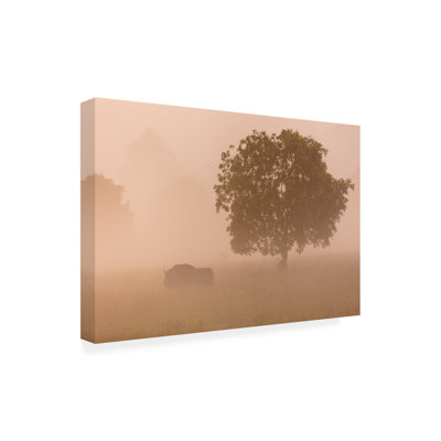 Aitor Badiola  European Bison Canvas Art