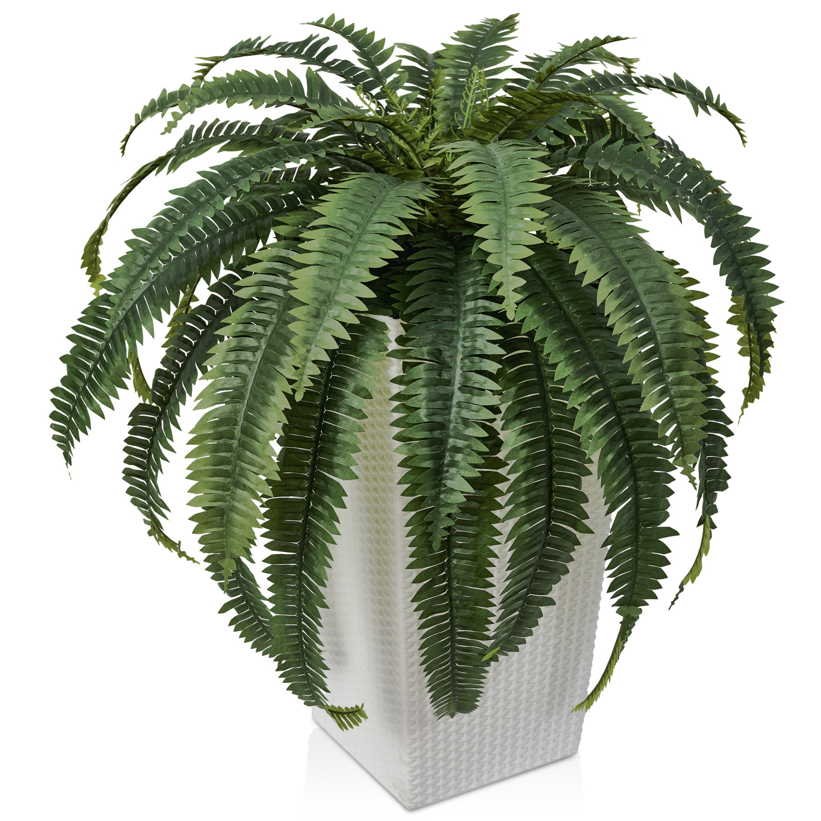 Adcock 30" Fern Plant in Decorative Vase, 1, White