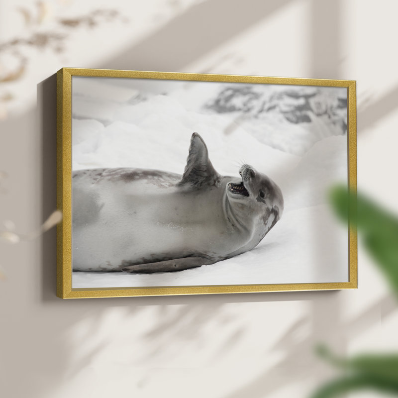 Laughing Seal -Framed Print - Restickable, 11" H x 14" W, Gold