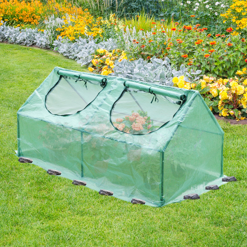 Mini ensemble de serre 3-en-1 Aoodor, H 2 pi x l 3,9 pi x P 2 pi