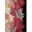 Tapis unique rose / vert / céladon 7 pi 9 po x 10 pi Art Deco