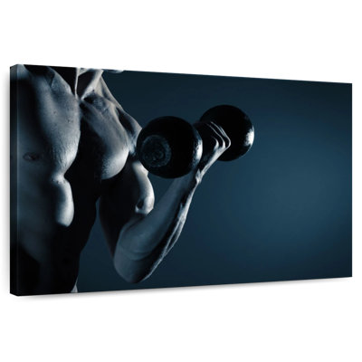Sirci Muscle Force