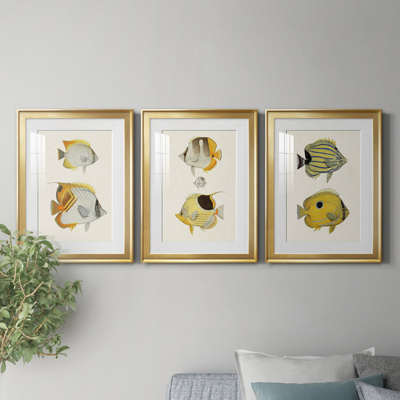 «Yellow and Gray Fish I», reproduction encadrée de qualité supérieure - prête à être accrochée, Cadre doré, Blanc