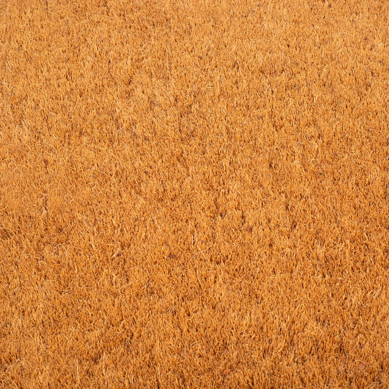 Paillasson Danyra, 18" W x 30" L - Thick