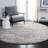 Audrianne Shag Performance Rug-2016284439