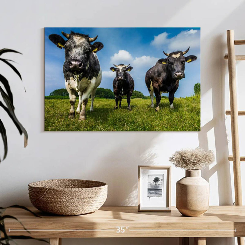 Vache, H 16 po x l 24 po