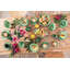 Dessert Bowl Set Ruffin