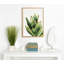 «Succulent 18» par Jennifer Redstreake Geary de Redstreake, reproduction d'art sur toile encadrée-333252927