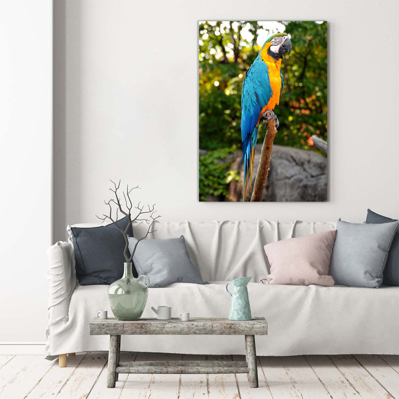 Ara Parrot - Wrapped Canvas Print