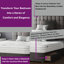 Galarza Divan Bed Base-1652018682-1652018434-1652018452