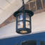 Flor Outdoor Hanging Lantern