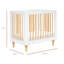 Lolly 4-In-1 Mini Convertible Crib