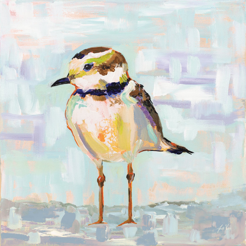 «Coastal Plover II Neutral» par Jeanette Vertentes, reproduction d'art sur toile tendue, H 12 po x l 12 po, Toile tendue, Non