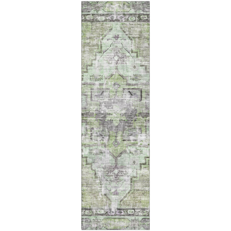 Premium Machine Washable Lucchesi AMF1729 Global Rug, Runner 2'3" x 7'6"