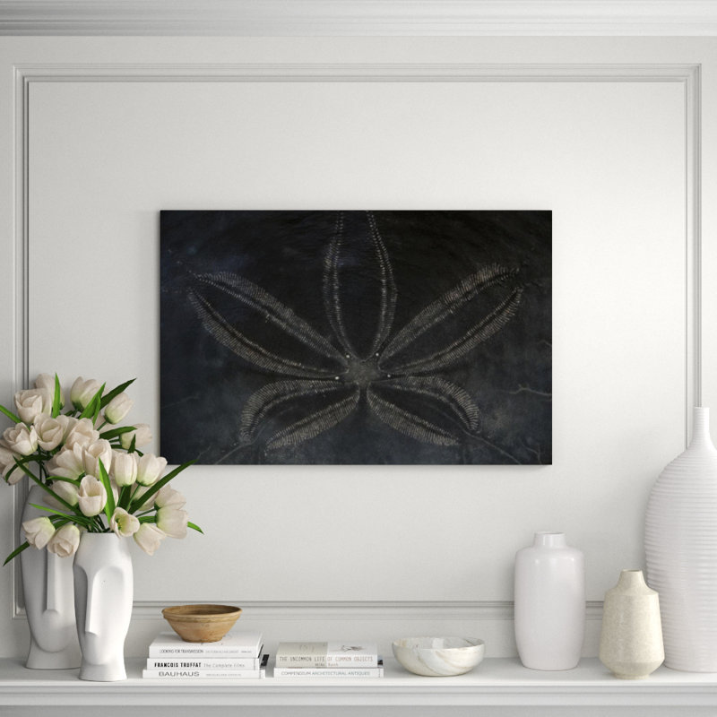 Sand Dollar II Print by Harold Davis, Outdoor, 26" H x 40" W x 1.5" D