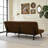 63" Sleeper Couch with 5-Position Adjustable Backrest,Convertible Futon Sofa Bed-1010116736