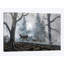 « cerf path i », impression sur toile-32896456-72224378-72224377