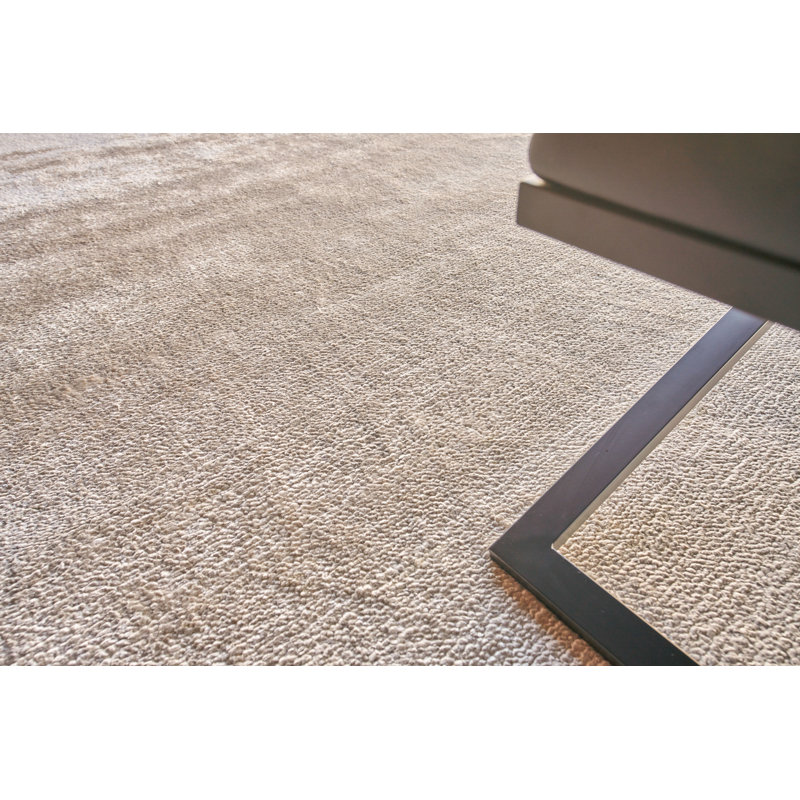 Plush Area Rug in Beige, Rectangle 8' x 10'