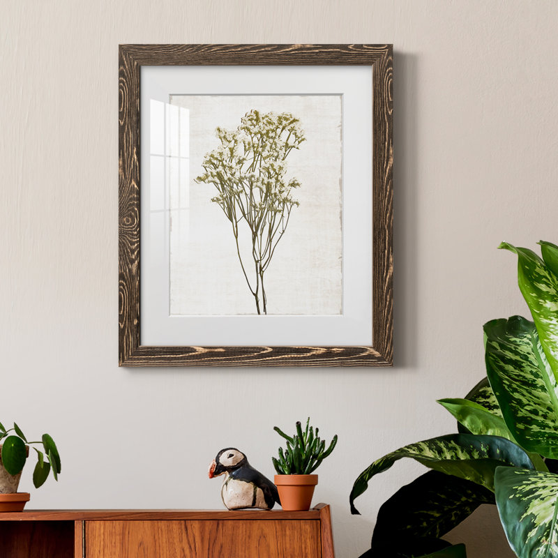 Farmhouse Pressed Flower II - peinture encadrée, Noyer, H 24 po x l 18 po x P 1,5 po