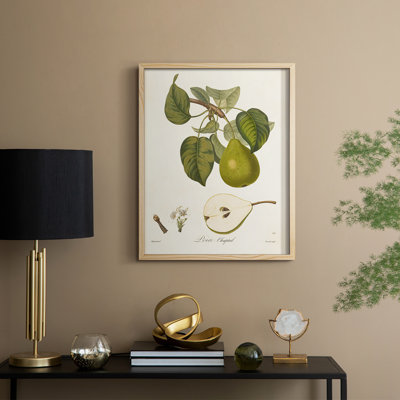 Vintage Pears VI Framed Print - Solid Wood