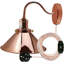 Plug-in Armed Sconce-1189557372