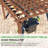 12 Ft. X 24 Ft. Solid Wood Pergola