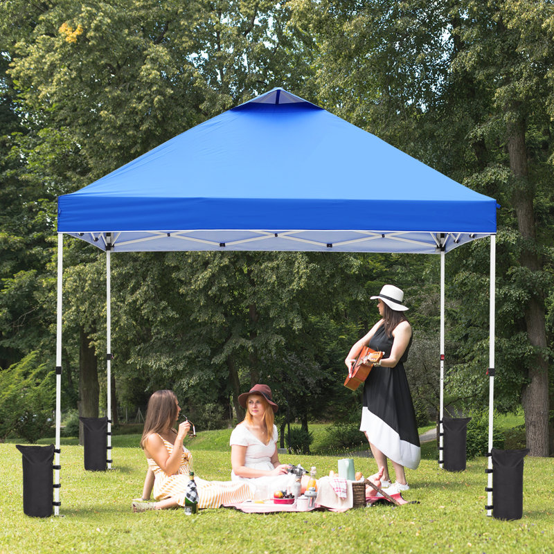 Zenova Black Polyester Weight for Canopy