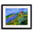 Black Framed Paper is unavailable