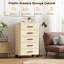 Armoire de rangement mobile avec 5 tiroirs, organisateur de bureau roulant pour chambre à coucher, salon ou bureau, 48 x 30 x 84,5 cm