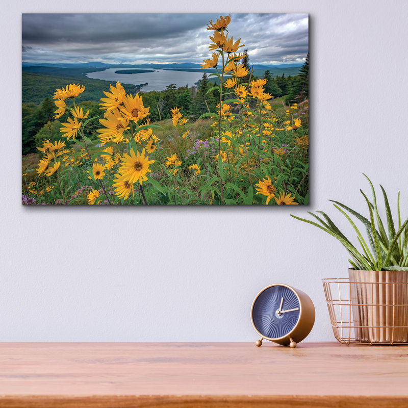 Art mural en verre Latitude Run® «Sunchokes At Hauteur Of Land» par Rick Berk, H 12 po x l 16 po x P 0,13 po