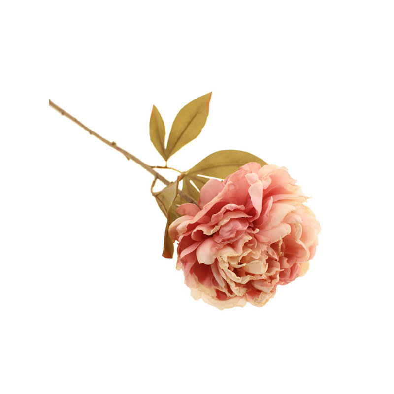 Arrangement, Pink