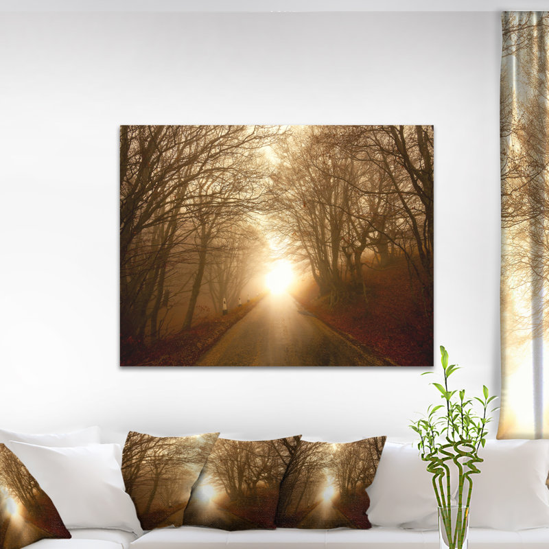 Schafer, «Path to Sunlight in Autumn Forest», photographie, H 30 po x l 40 po x 1,5 po, Toile tendue