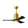 Patricia LED Ceiling Fan